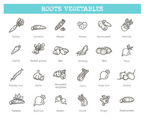 Basic root vegetables thin line icon set