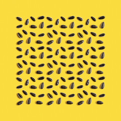 Pattern fron black sunflower seeds inscribed in square on yellow background. Organic healthy food