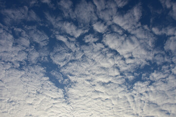 Blue sky and white clouds for background