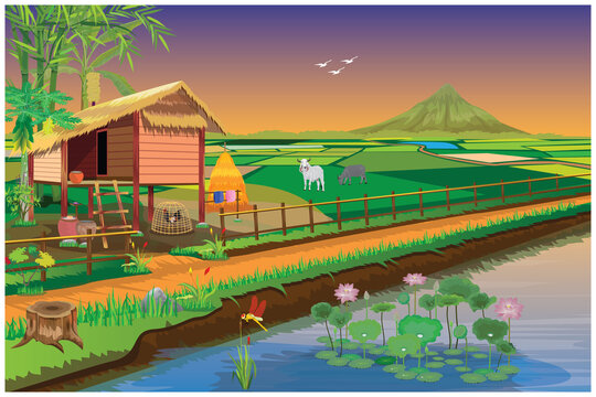 straw hut and paddy field at countryside vector design