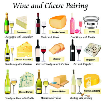 Gourmet wine and cheese combination table illustration