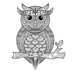 Owl. Adult antistress coloring page. black and white illustration for coloring book. vector illustration.