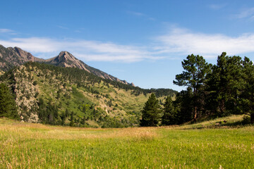 landscape in the mountains