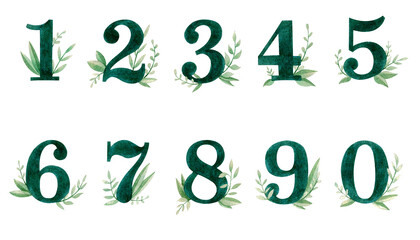 Green watercolor numbers with plants. Illustration. Collection. Grass. Gentle. Design. Art. Postcard. Cute. Beautiful. Season. Nature. Handmade work. Summer. Garden.
