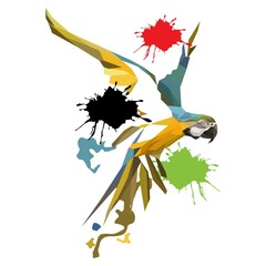 Macaw bird illustration with Low polygon isolated on splash colors background . Modern geometric design.	
