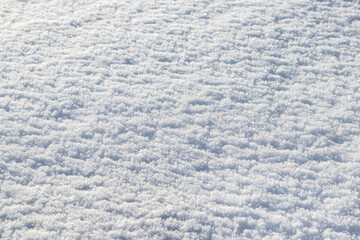 Clear snow texture in bright sunlight, winter background with snow