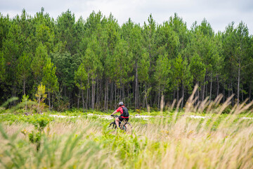 Fototapeta na wymiar cyclists on the cycle path crossing a beautiful forest