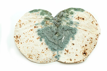 The picture of a mouldy flatbread. Rotten and uneatable. Isolated on white background. 