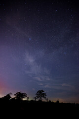 Panorama blue night sky milky way and star on dark background. Universe filled with stars, nebula and galaxy with noise . select white balance and selection focus.