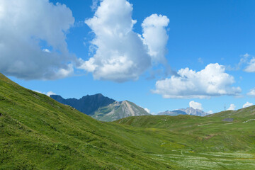Fototapeta premium Green pastures at altitude in summer. Rocky mountain peaks in the background. View on the valley in the Alps.