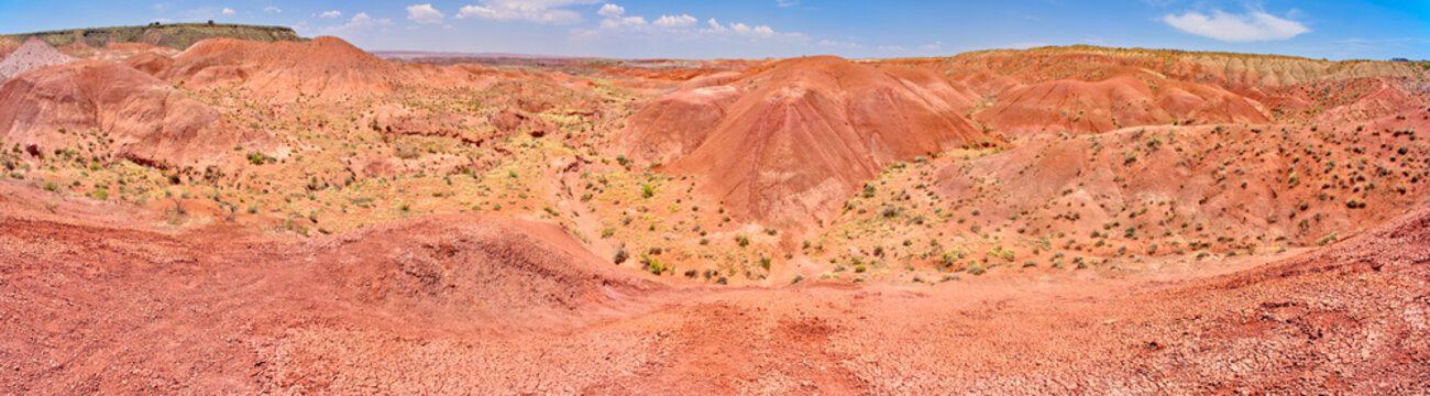 Landscape View from Tiponi Point, Petrified Forest National Park, Arizona, USA