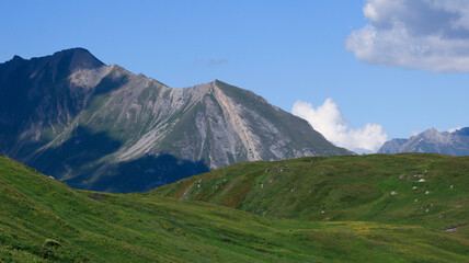 Green pastures at altitude in summer. Rocky mountain peaks in the background. View on the valley in the Alps.