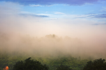 Wierzchołki drzew we mgle panorama na tle błękitnego nieba
