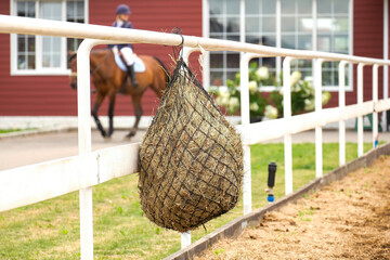 Dry hay in a net is attached to the fence. Access to food for horses