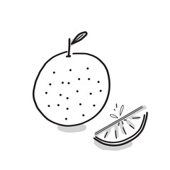 Japanese food illustration. Hand drawn sketch. Japanese fruits. Vector illustration of Japanese citrus Yuzu. Menu design elements. Isolated objects. 