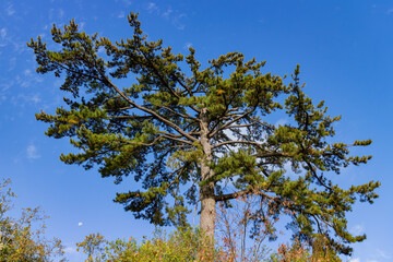 Autumn landscape in Wuling Farm