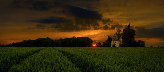 Fototapeta premium Amazing sunset and sunrise over the windmill and over the grain field.