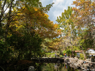 Autumn landscape with a pond reflection in Wuling Farm