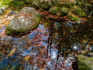 Autumn landscape with a pond reflection in Wuling Farm