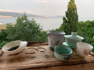 cactus on the windowsill