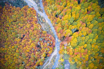 Fototapeta na wymiar Aerial view of forest in autumn with colorful trees and a river . Drone photography.