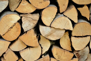 Dry stack of firewood background
