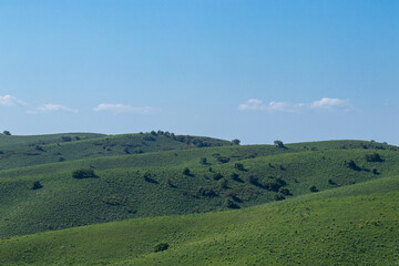 Fototapeta premium View of the green meadows of the mountain hills