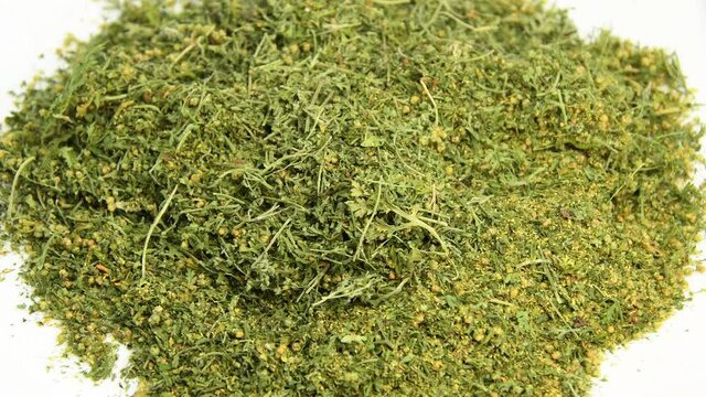sweet annie, chinese medicinal herb, dried on a turn table