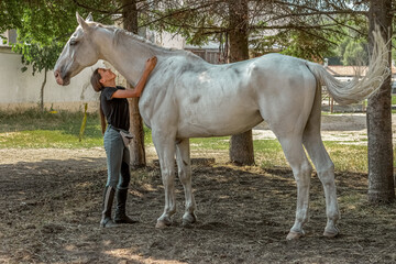 Obraz na płótnie Canvas riding girl speaking with white hourse near the stable 