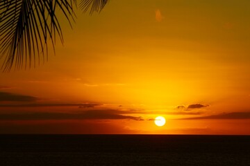 Hawaii's Golden Sunset