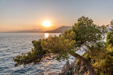 Coucher de soleil sur la Côte d'Azur depuis le Cap Ferrat avec vue mer et pins parasols