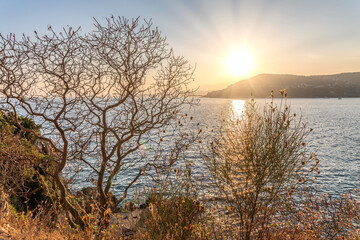 Obraz na płótnie Canvas Coucher de soleil sur la Côte d'Azur depuis le Cap Ferrat avec vue mer et pins parasols