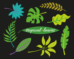 Fototapeta na wymiar Tropic plants. Monstera and palm jungle leaves, green exotic foliage, nature botanical decorative collection. Vector illustration isolated collection tropical leaf set