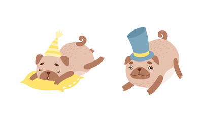 Naklejka premium Funny Pug Dog with Curled Tail and Light Brown Coat Sleeping on Pillow and Wearing Top Hat Vector Set