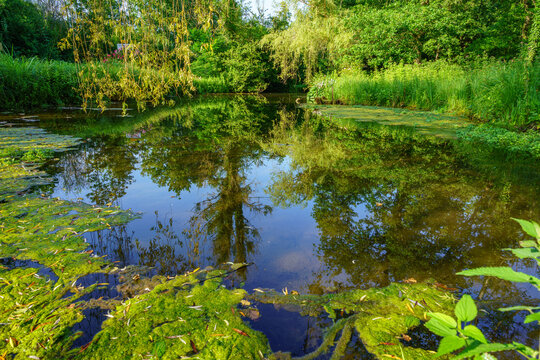 Paysage campagne 983