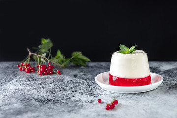 Italian dessert panna cotta with red currant jelly and mint.