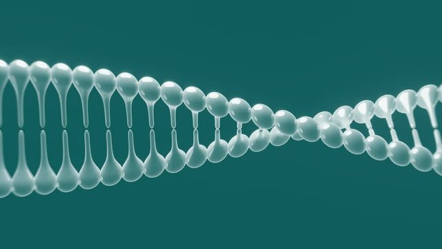 menschliche Doppelhelix dreht sich in Schleife