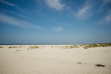 Fototapeta na wymiar Wide beach landscape with sand dunes and blue sky, North Sea