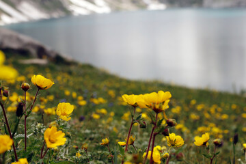 Kumrat Valley Beautiful Landscape Mountains View
