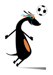 Dog playing football isolated. Cartoon dachshund beats a football by head
