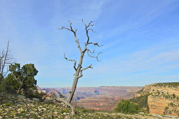 The spectacular scenery of the Grand Canyon from the south rim, in the Northwest corner of Arizona.