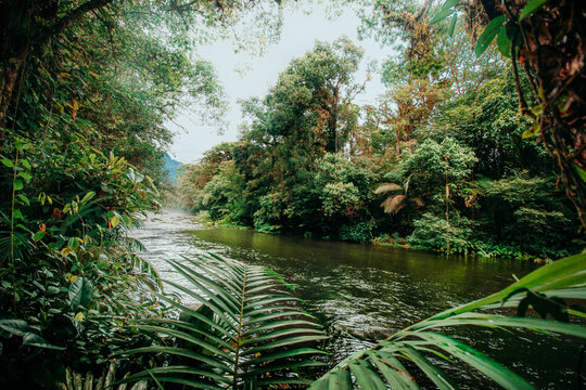 Vista para rio verde em morretes na mata atl&acirc;ntica no brasil