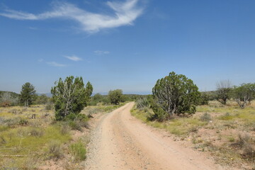 Fototapeta na wymiar A scenic dirt road on the Mogollon Rim in the Coconino National Forest, Arizona.