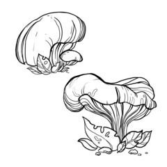 coloring book for children. stylized black line mushrooms.