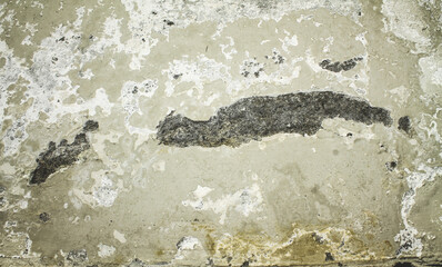 Grunge Concrete Wall Background