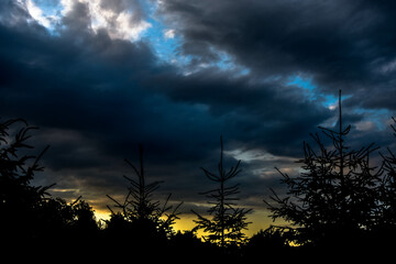 clouds over the forest