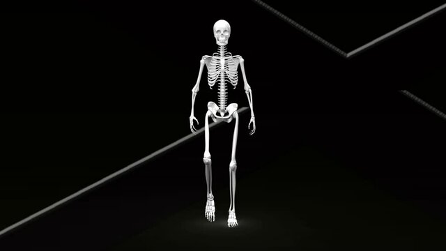 Digital animation of human skeleton walking against white lines on black background