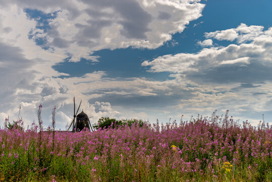 View of dark wooden mill. Purple lilacs flowers in the foreground