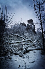Castle ruin in winter time with snow