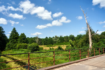 Fototapeta na wymiar The bridge over the Obra river and a dry tree